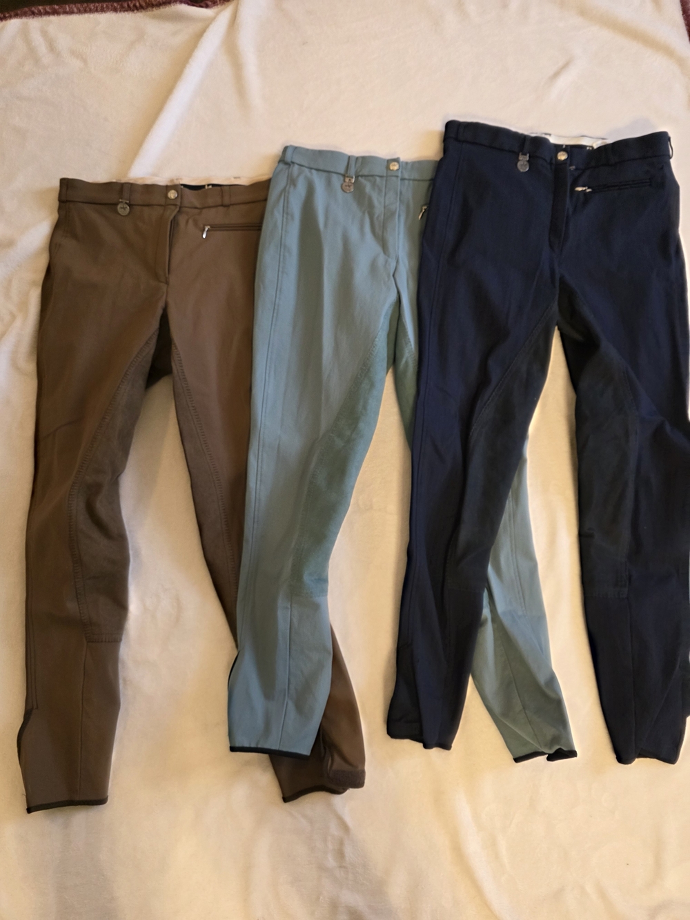 Pikeur Brown, Blue, And Navy Equestrian Breeches with Contrasting Waistband